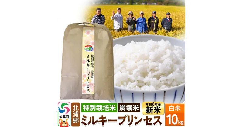 【ふるさと納税】【特別栽培米 炭壌米 ミルキープリンセス】令和6年産 新米 先行受付 白米 10kg