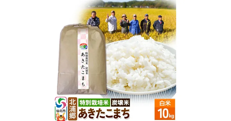 【ふるさと納税】【特別栽培米 炭壌米 あきたこまち】令和6年産 新米 先行受付 白米 10kg