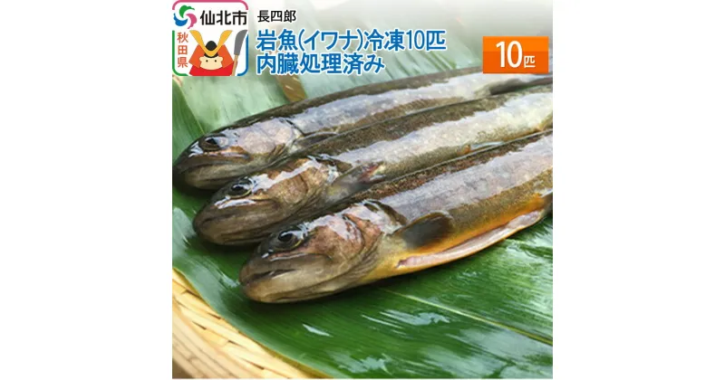 【ふるさと納税】岩魚（イワナ）冷凍10匹　内臓処理済み　10匹