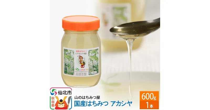 【ふるさと納税】国産 はちみつ アカシヤ 600g 山のはちみつ屋