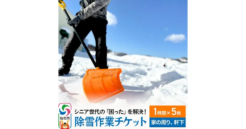 【ふるさと納税】シニア世代の「困った」を解決！除雪作業サービス利用チケット 1時間×5枚【家の周りや軒下の除雪作業にご利用可能】