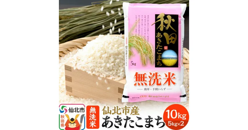 【ふるさと納税】【無洗米】秋田の米どころ 仙北市産 あきたこまち 10kg 令和6年産