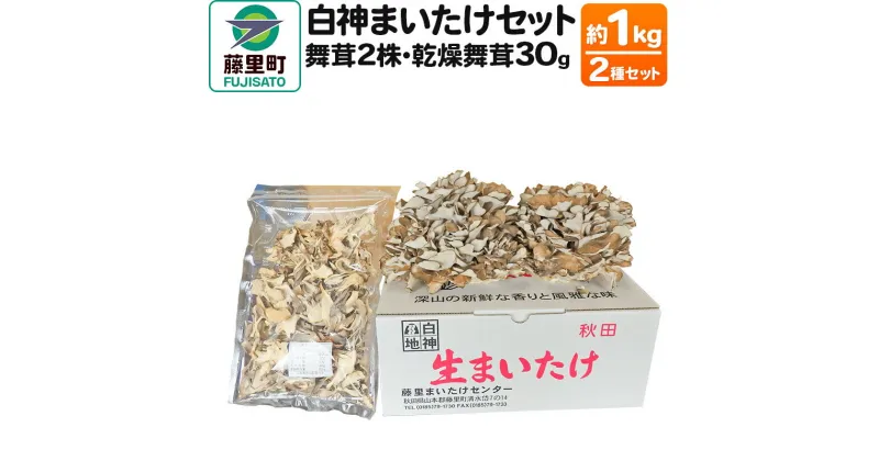 【ふるさと納税】白神まいたけセット（舞茸2株、乾燥舞茸30g）約1kg