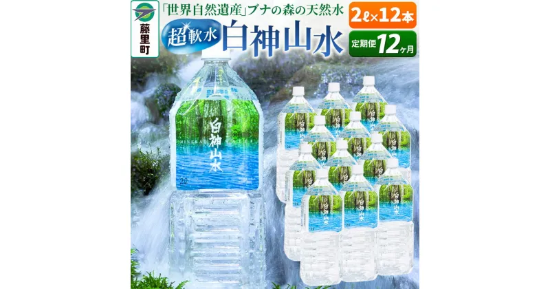 【ふるさと納税】【定期便12ヶ月】白神山水（2L×12本） 水 ミネラルウォーター