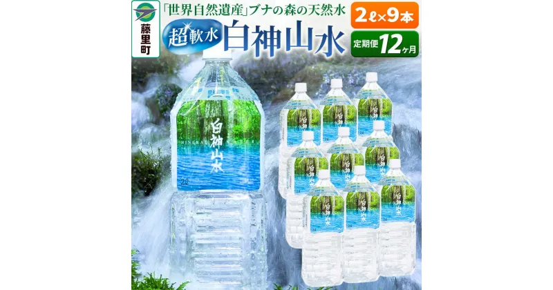 【ふるさと納税】【定期便12ヶ月】白神山水（2L×9本） 水 ミネラルウォーター