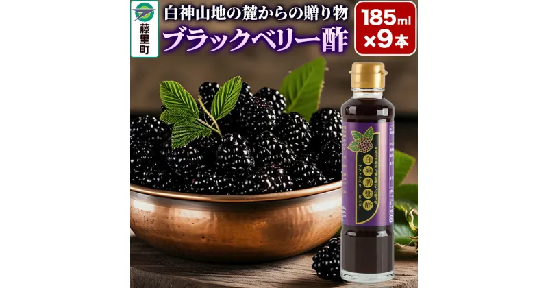 【ふるさと納税】＜お歳暮・冬ギフト＞ブラックベリー酢 計9本 （185ml×3本）3セット