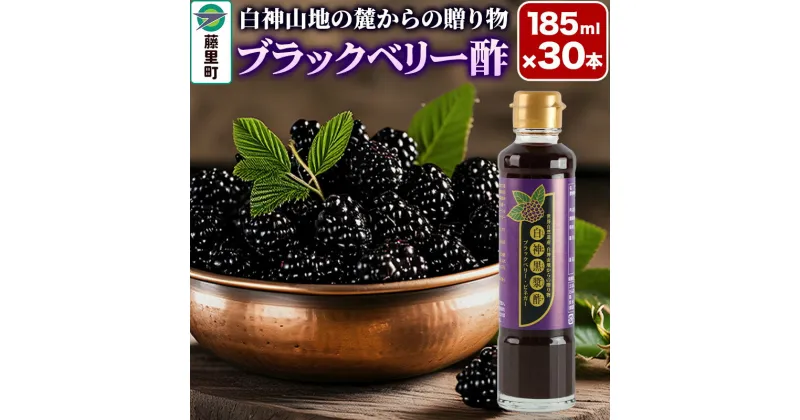 【ふるさと納税】＜お歳暮・冬ギフト＞ブラックベリー酢 計30本 （185ml×3本）10セット