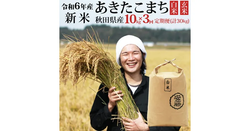 【ふるさと納税】《令和6年産 新米》《定期便3ヶ月》秋田県産 あきたこまち 10kg(10kg×1袋)×3回 【白米／玄米 選べる】計30kg 令和6年産