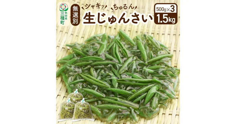 【ふるさと納税】生じゅんさい無選別 1.5kg(500g×3袋)《冷蔵》（2025年5月中旬(収穫後)から7月末、順次発送予定）朝採りして当日発送！