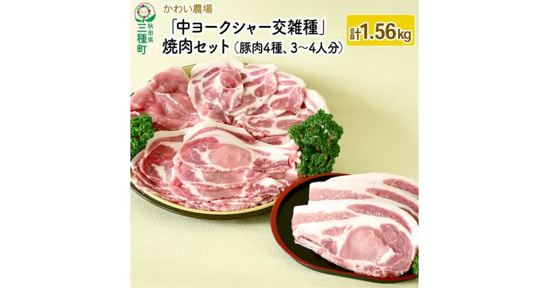 【ふるさと納税】かわい農場「中ヨークシャー交雑種」焼肉セットA（豚肉4種類、3～4人分） しっぽ豚