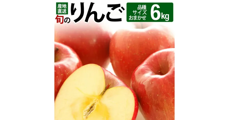 【ふるさと納税】《先行受付》旬のりんご 6kg (品種、サイズおまかせ) (11～12月頃発送) ご自宅向け 産地直送 リンゴ 林檎 フルーツ