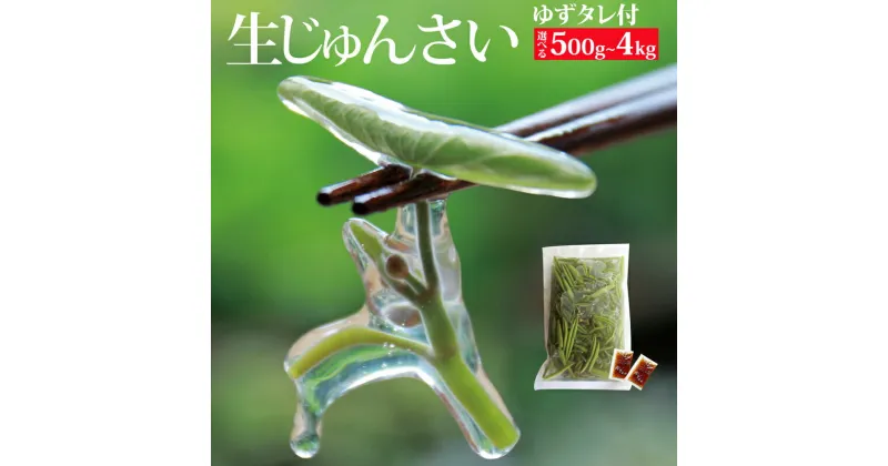 【ふるさと納税】生じゅんさい ゆずタレ付《冷蔵》【選べる内容量500g〜4kg】（2025年5月上旬頃〜7月下旬までに発送予定） 令和7年産 2025年産 先行受付 秋田県産 三種町産