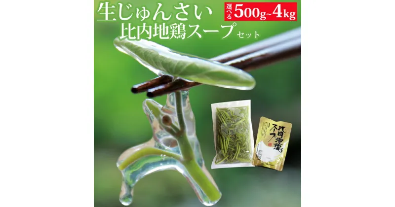 【ふるさと納税】生じゅんさい 比内地鶏スープ付 《冷蔵》【選べる内容量500g〜4kg】（2025年5月上旬頃〜7月下旬までに発送予定） 令和7年産 2025年産 先行受付 秋田県産 三種町産