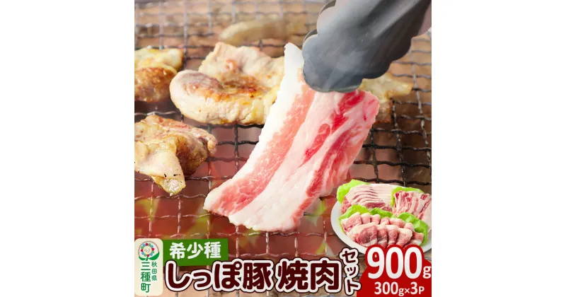 【ふるさと納税】かわい農場「中ヨークシャー交雑種」焼肉セットB（豚肉3種類、2～3人分）合計900g しっぽ豚