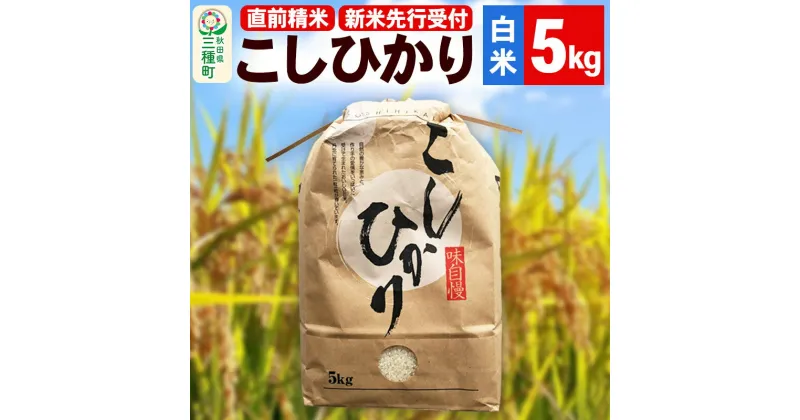 【ふるさと納税】《新米先行受付》【精米】こしひかり 5kg（5kg×1袋）令和6年産 米 秋田県 三種町産