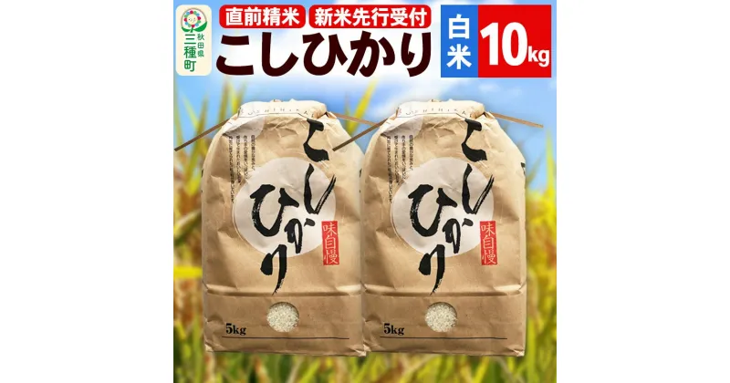 【ふるさと納税】《新米先行受付》【精米】こしひかり 10kg（5kg×2袋）令和6年産 米 秋田県 三種町産