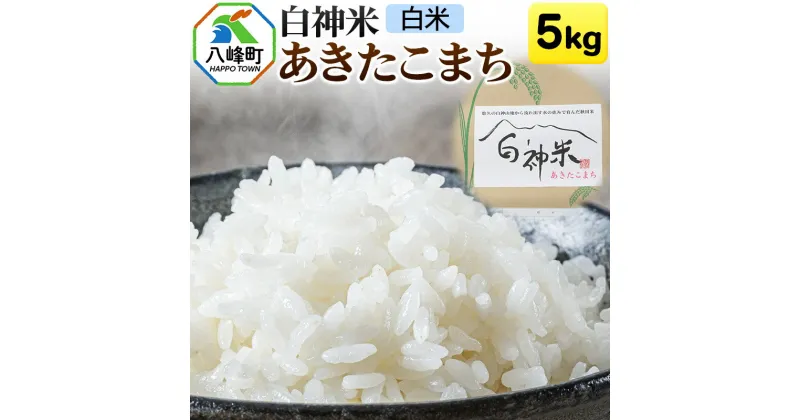 【ふるさと納税】白神米 あきたこまち 秋田県産 5kg【白米】令和6年産