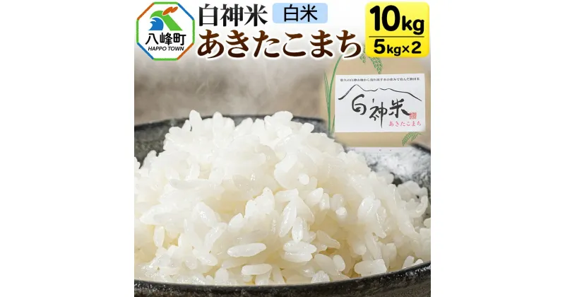 【ふるさと納税】白神米 あきたこまち 秋田県産 10kg【白米】令和6年産