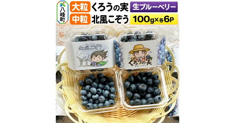 【ふるさと納税】【2025年収穫先行受付】生ブルーベリー(大粒)「くろうの実」＆(中粒)「北風こぞう」セット 各100g×6パック 計12パック