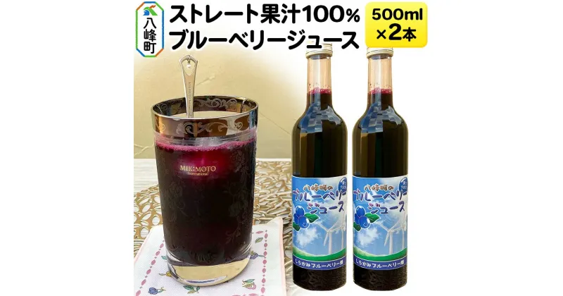 【ふるさと納税】ストレート果汁100％ブルーベリージュース 500ml×2本