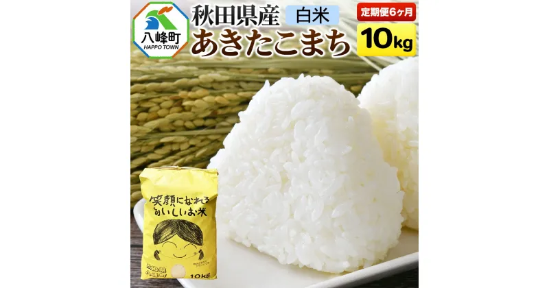 【ふるさと納税】《定期便6ヶ月》秋田県産あきたこまち10kg【白米】令和6年産