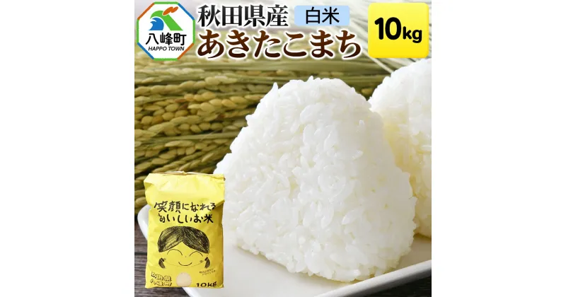 【ふるさと納税】秋田県産あきたこまち10kg【白米】令和6年産