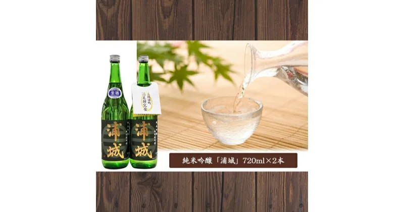 【ふるさと納税】無濾過本生原酒「浦城」720ml×2本 純米吟醸　【日本酒】