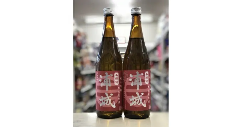 【ふるさと納税】【生詰】純米吟醸無濾過原酒「赤浦城」720ml×2本　【お酒・日本酒・純米吟醸酒・純米吟醸無濾過原酒・アルコール・酒・果実味】