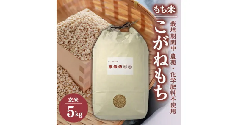 【ふるさと納税】【令和6年産】もち米　玄米5kg (栽培期間中　農薬不使用・化学肥料不使用11月中旬から順次発送【配送不可地域：離島・沖縄県】【1251291】