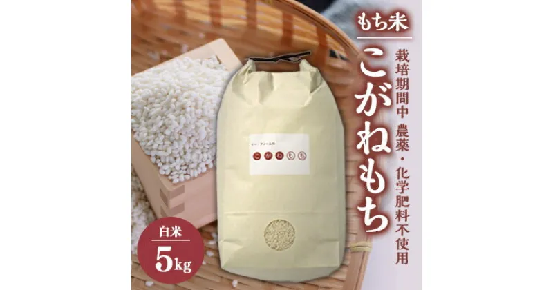 【ふるさと納税】【令和6年産】もち米　白米5kg (栽培期間中　農薬不使用・化学肥料不使用) 11月中旬から順次発送【配送不可地域：離島・沖縄県】【1251292】