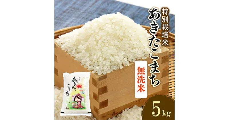 【ふるさと納税】新米　令和6年産　特別栽培米あきたこまち　無洗米5kg【配送不可地域：離島・沖縄県】【1283154】