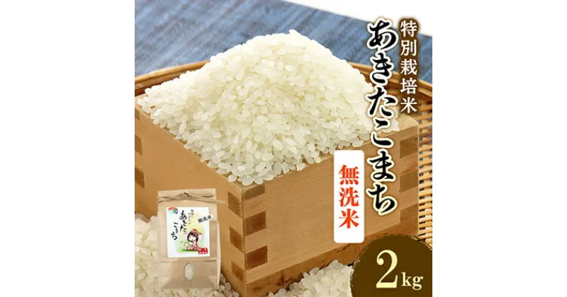 【ふるさと納税】新米　令和6年産　特別栽培米あきたこまち　無洗米2kg【配送不可地域：離島・沖縄県】【1283158】