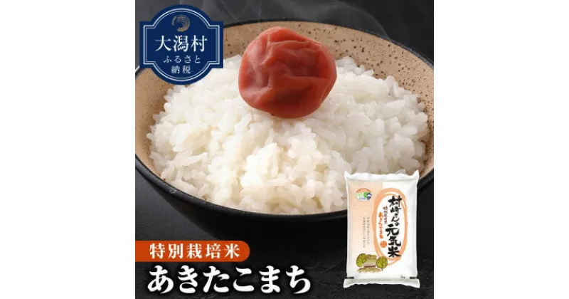 【ふるさと納税】【令和6年産】大潟村産あきたこまち特別栽培米5kg (精米)【配送不可地域：離島・沖縄県】【1353936】