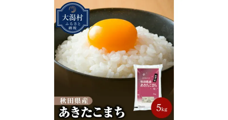 【ふるさと納税】【令和6年産】秋田県産あきたこまち5kg【配送不可地域：離島・沖縄県】【1381409】