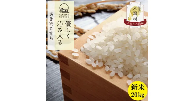 【ふるさと納税】〈 新米先行予約〉【令和6年産】秋田県産 あきたこまち 白米 20kg(5kg×4袋)【配送不可地域：離島・沖縄県】【1519353】