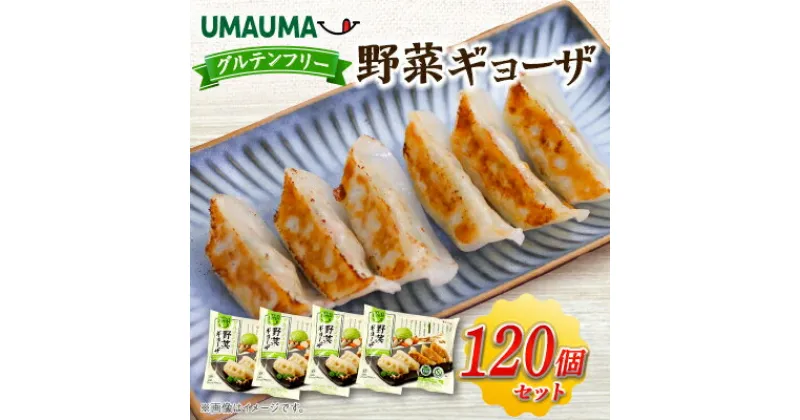 【ふるさと納税】UMAUMAグルテンフリー野菜ギョーザ120個セット_ ぎょうざ 餃子 ギョウザ 野菜ぎょうざ 中華 総菜 飲茶 点心 中華総菜 おかず 簡単調理 UMAUMA 大粒 ヴィーガン グルテンフリー 冷凍 小分け 個包装 セット 【配送不可地域：離島・沖縄県】【1513197】