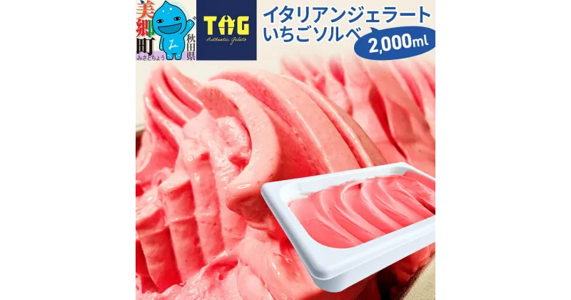 【ふるさと納税】ジェラテリア TiG（ティグ）イタリアンジェラート 無着色・無香料 いちごソルベ 2000ml（2L）