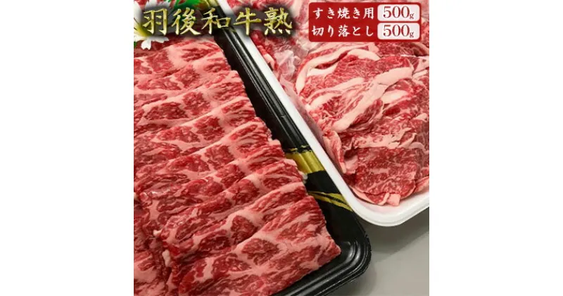 【ふるさと納税】「羽後和牛」の生みの親 「羽後和牛 熟」モモすき焼き用500g＋切り落とし500g 計1kg　モモすき焼き用・切り落とし・すきやき・スキヤキ・羽後和牛