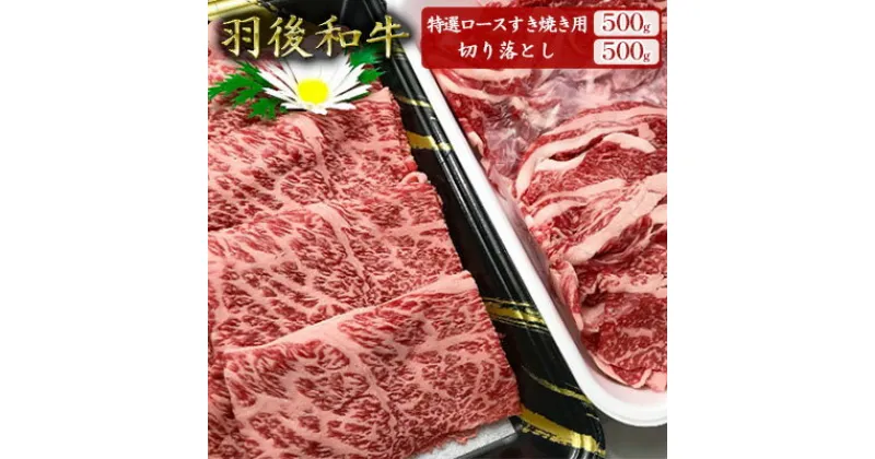 【ふるさと納税】羽後和牛特選ロースすき焼き用500g+羽後和牛切り落とし500g 計1kg　ロースすき焼き用・羽後和牛・切り落とし・すきやき・スキヤキ