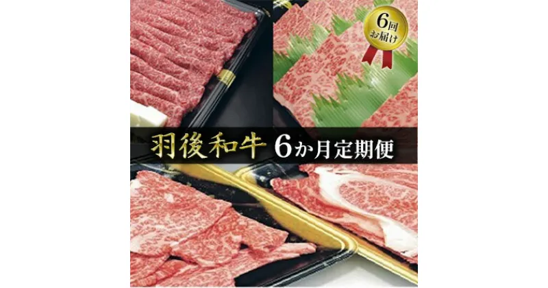 【ふるさと納税】部位・量おまかせ！羽後和牛定期便（6ヶ月）　【定期便・牛肉・お肉・和牛】