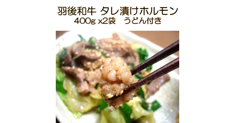 【ふるさと納税】羽後和牛 タレ漬けホルモン うどん付き 400g×2個 秋田県 羽後町【ライブストックさとう】　【 牛肉 麺類 肉の加工品 新鮮 オリジナル 野菜 蒸し焼き 焼うどん 】