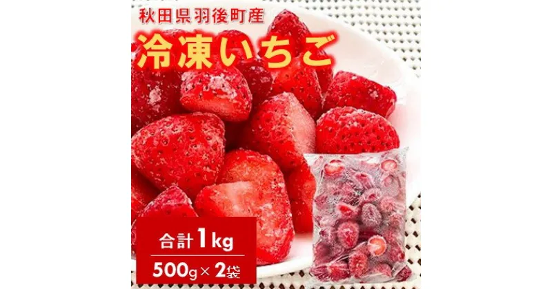 【ふるさと納税】冷凍いちご　1kg（500g×2）国産 イチゴ ジャム スムージー お菓子づくり　 果物 フルーツ 冷凍果物 冷凍フルーツ そのまま トッピング フローズンイチゴ ストロベリー