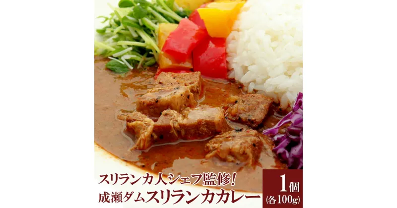 【ふるさと納税】成瀬ダム スリランカカレー 100g×1個 ゆうパケット