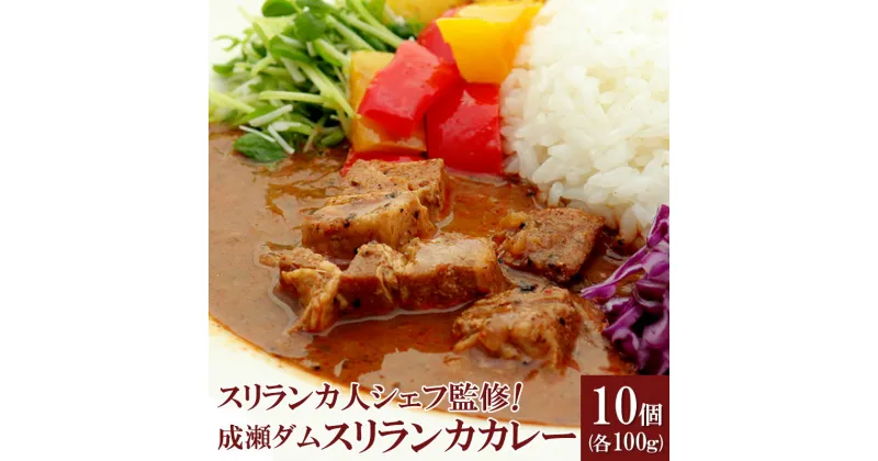 【ふるさと納税】成瀬ダム スリランカカレー 100g×10個