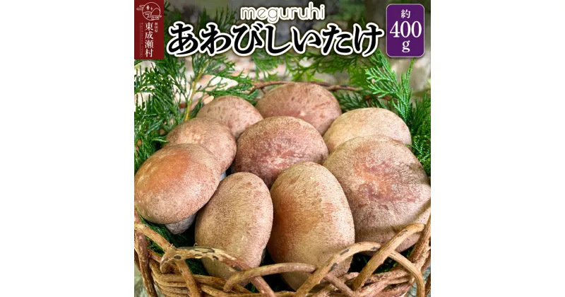 【ふるさと納税】meguruhi あわびしいたけ 約400g