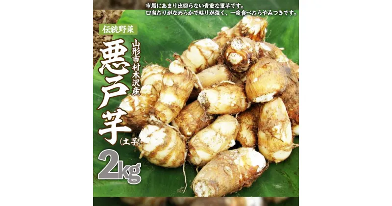 【ふるさと納税】山形市の伝統野菜 村木沢の「悪戸芋」ねっとり食感里芋 2kg fz23-093