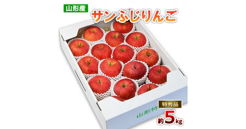 【ふるさと納税】山形のサンふじりんご 特秀品 約5kg(12～20玉) fz19-137 リンゴ 林檎 フルーツ 果物 お取り寄せ 送料無料