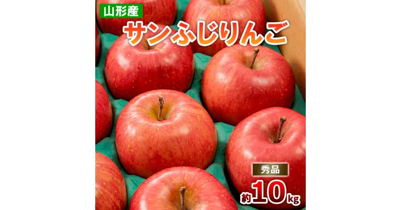 【ふるさと納税】山形のサンふじりんご 約10kg 秀品(24～40玉) fz19-140 リンゴ 林檎 フルーツ 果物 お取り寄せ 送料無料