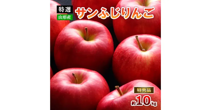 【ふるさと納税】【特選】山形のサンふじりんご 約10kg 特秀品(24～36玉) fz19-141 リンゴ 林檎 フルーツ 果物 お取り寄せ 送料無料