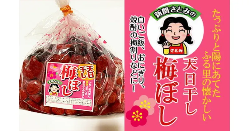 【ふるさと納税】たっぷりと陽にあてた ふる里の懐かしい「天日干し梅ぼし」1.2kg fz23-212 梅干 梅干し 手作り